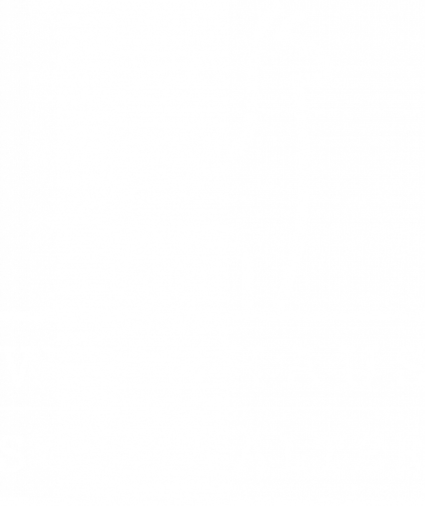 Weingut Schowalter Logo weiss